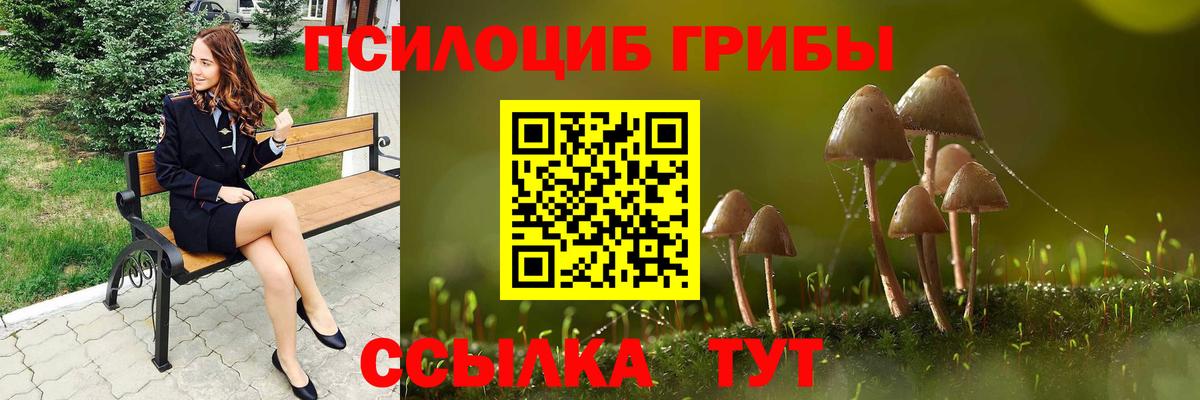 Галлюциногенные грибы Psilocybine cubensis  Вход с VPN  Белгород 